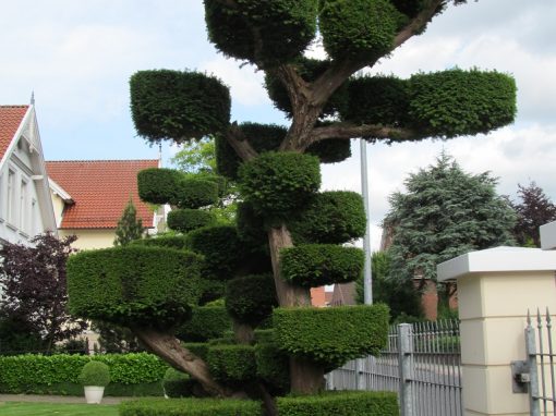 Der Garten Wessmann, Cloppenburg